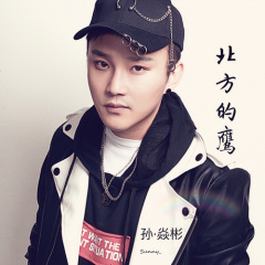 全部播放专辑名:北方的鹰歌手:孙焱彬发行时间:2019
