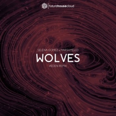 Wolves (Aeden Remix)