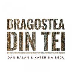 dan balan,katerina begu - dragostea din tei