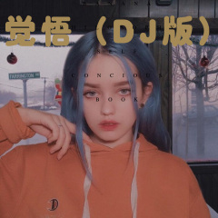京城工体车载CD音轨3 (Remix)