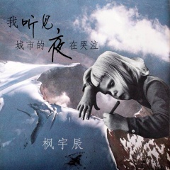 我听见城市的夜在哭泣