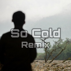 So Cold (Remix)