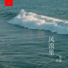 全部播放专辑名:风浪里歌手:张良成发行时间:2020-03-27简介:随风随浪