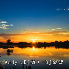 Andy (DJ金诚版)