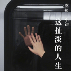这扯淡的人生dj版