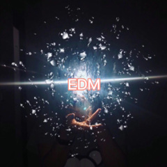 EDM (DJ版)