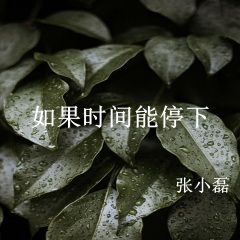 张小磊 如果时间能停下