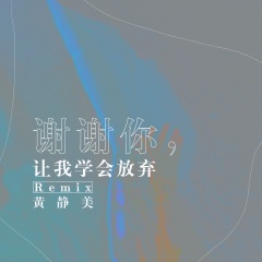 黄静美 谢谢你,让我学会放弃(remix)