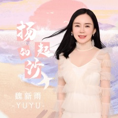 魏新雨 扬起的沙dj