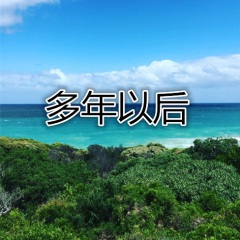 多年以后 歌曲列表其他专辑