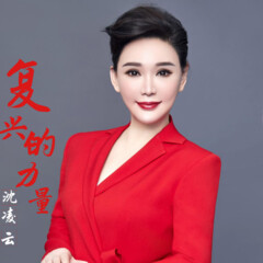 沈凌云 复兴的力量