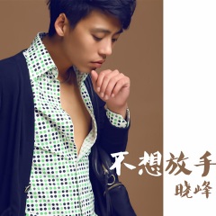 晓峰_不想放手_专辑_乐库频道_酷狗网