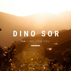 dino sor waiting for you