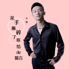 亲手撕碎了你给的誓言歌手:巴昱凯发行时间:2020-10-02简介:想说的想