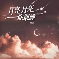 由唐心语作词,刘雨key作曲/编曲,音唯唱片发行 月亮月亮你别睡>