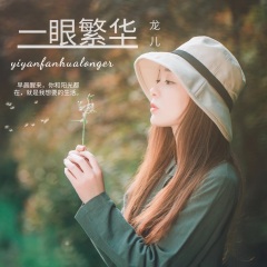 一眼繁华龙儿