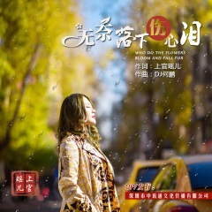 上官瑶儿 无奈落下伤心泪(何鹏dj版)