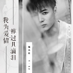 我为爱情掉过几滴泪演唱者:杨小壮语言:华语唱片公司:乐巢文化发行
