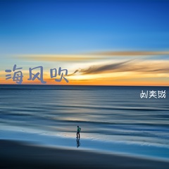 全部播放专辑名:海风吹歌手:刘奕成发行时间:2020-10-10简介:海风的