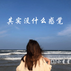 dj小星星 其实没什么感觉