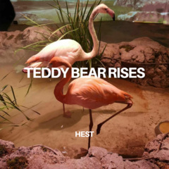 hest - teddy bear rises
