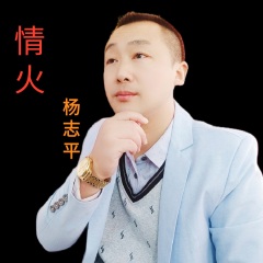 杨志平 情火