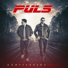 puls k01mpferherz(remix)