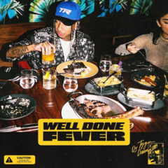  well done fever> - 歌曲列表全部播放播放全选01tyga,dj