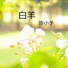 PLANET (中文版)