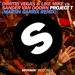 Project T (Martin Garrix Remix Edit)