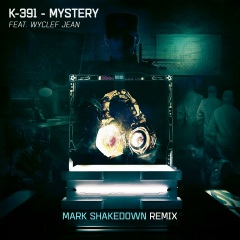 Mystery (Mark Shakedown Remix)