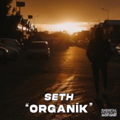 seth - organik (explicit)