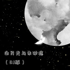 白月光与朱砂痣dj版