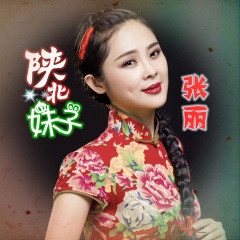 陕北妹子歌手:张丽发行时间:2021-01-27简介:陕北著名民歌手张丽首张