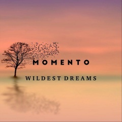 momento - wildest dreams
