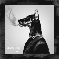 黑狗(black dog)