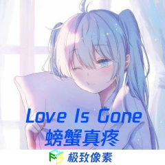 Love Is Gone (螃蟹真疼Remix)