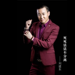 刘建东 - 死死活活不分离