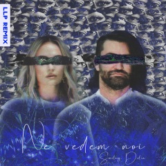 delia - ne vedem noi (llp remix)