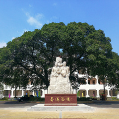马晓慧 英德茶场