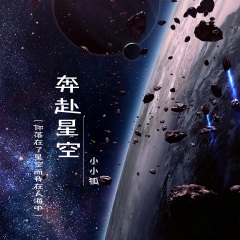 奔赴星空你落在了星空而我在人海中