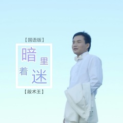 暗里着迷(国语版)