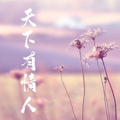  天下有情人> - 歌曲列表其他专辑