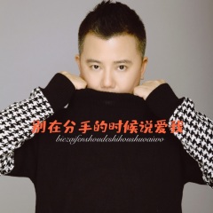 李以诺j.v.e - 别在分手的时候说爱我(怀旧版)
