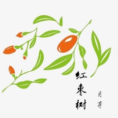 月芽 - 红枣树