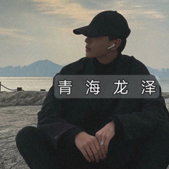 青海龙泽 - 重蹈覆辙