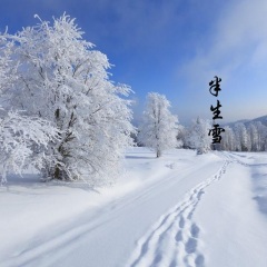 半生年华,然后半生雪 半生雪 歌曲列表全部播放播放全选01韦舀