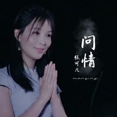 的主题曲,这首歌曲惊艳了岁月,承载了几代人满满的回忆,问情飘何处