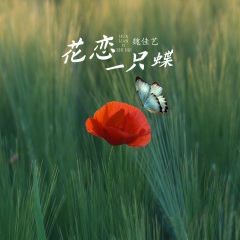 花恋一只蝶