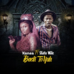 kanea,shatta wale back to yuh